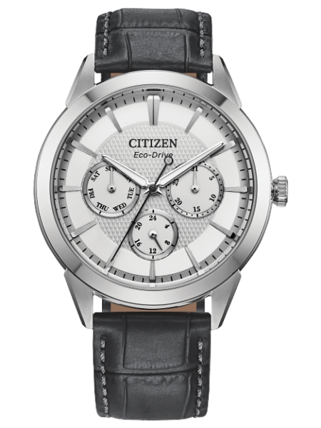 Citizen Rolan Watch Model BU2110-01A